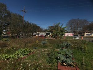 Broadmoor Food Forest- Sometime in January 