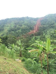 Landscape image of landslide with greenery surrounding