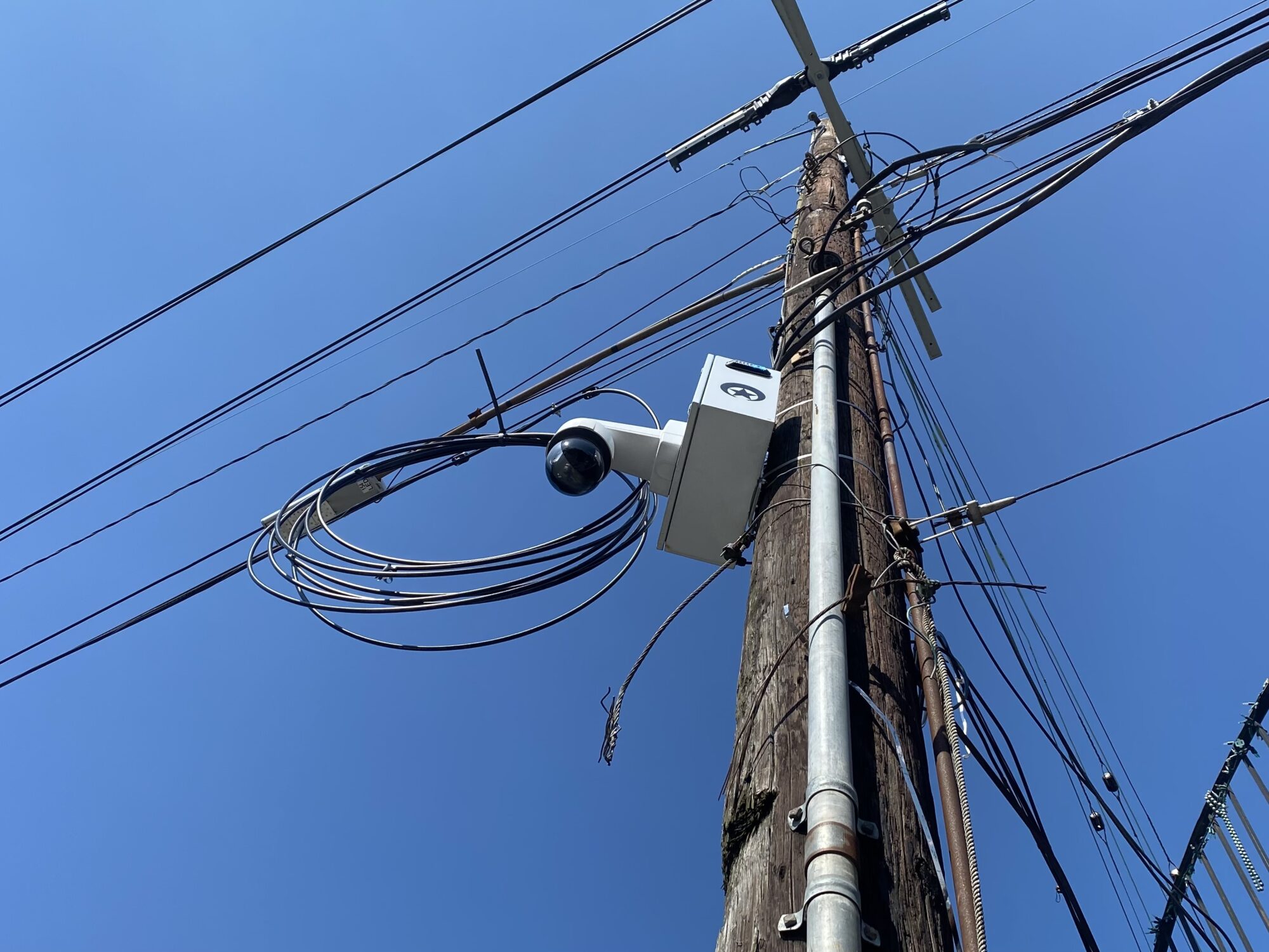 A photograph, taken from the street level, of a police surveillance camera: a black glass sphere attached to a white steel armature, itself attached to a wooden telephone pole
